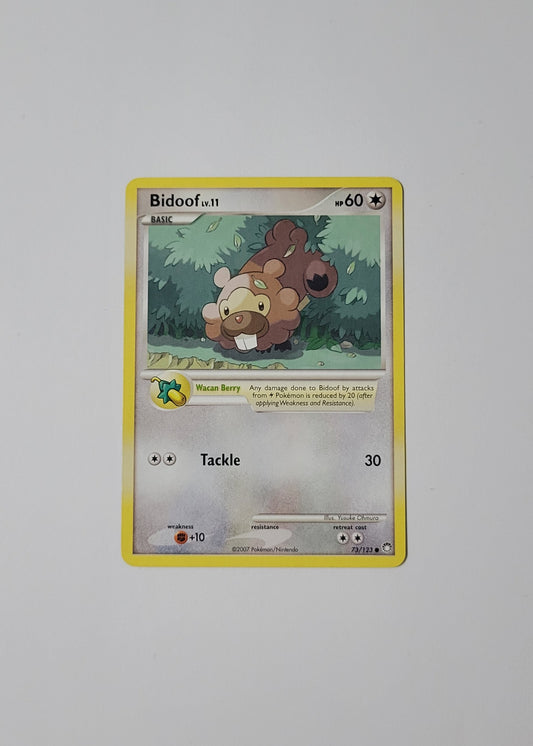Bidoof 73/123 - Mysterious Treasures