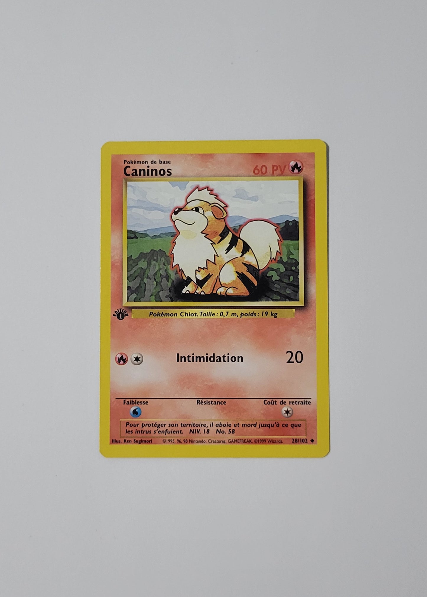 Growlithe [Caninos] 28/102 - Base Set (French, 1st Edition)