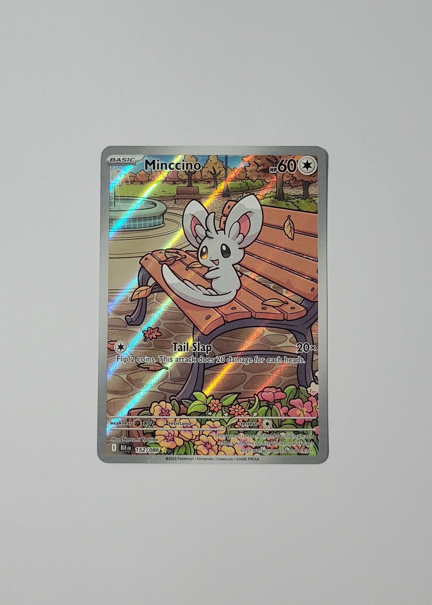 Minccino 152/086 - Black Bolt