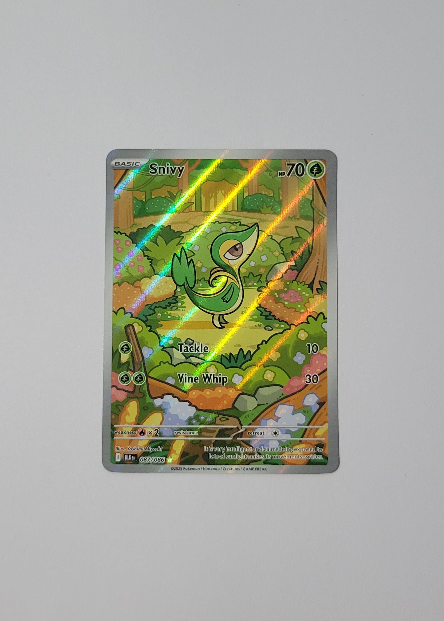 Snivy 087/086 - Black Bolt