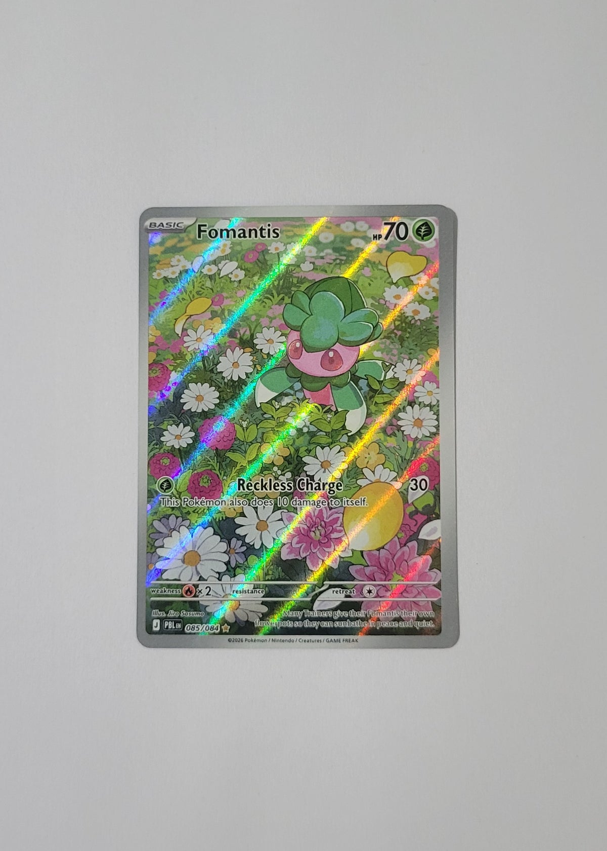 Fomantis 085/084 - Pitch Black