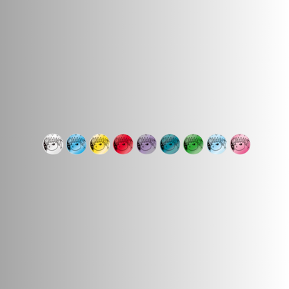 Terastal Gathering Coin Set - Flareon (S-Chinese)