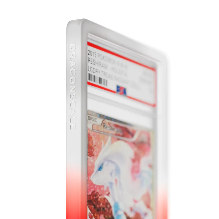 Dragonscale PSA Slab Guard - Gradient Valor