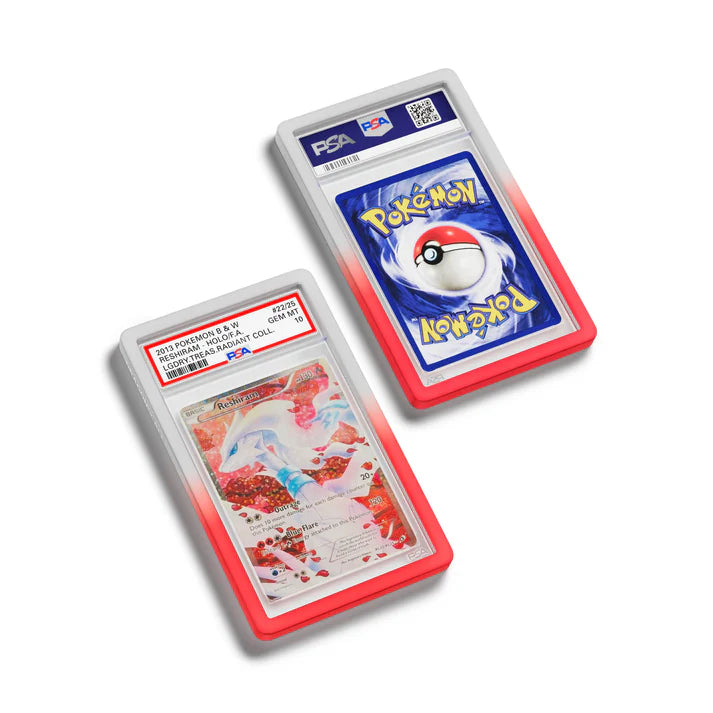 Dragonscale PSA Slab Guard - Gradient Valor