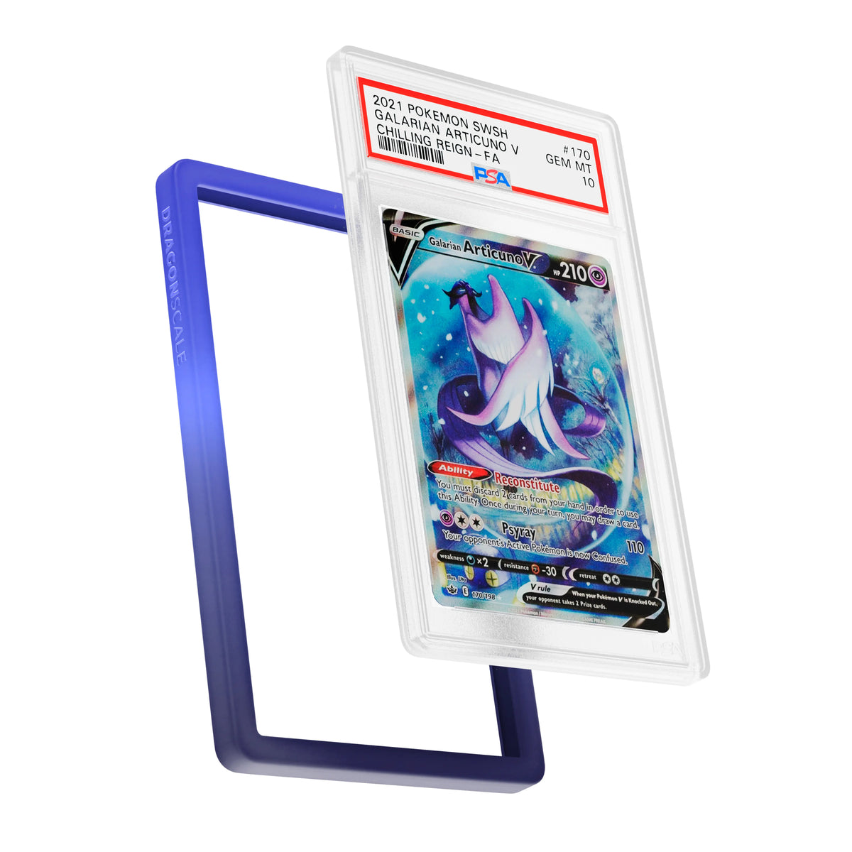 Dragonscale PSA Slab Guard - Gradient Nocturnal